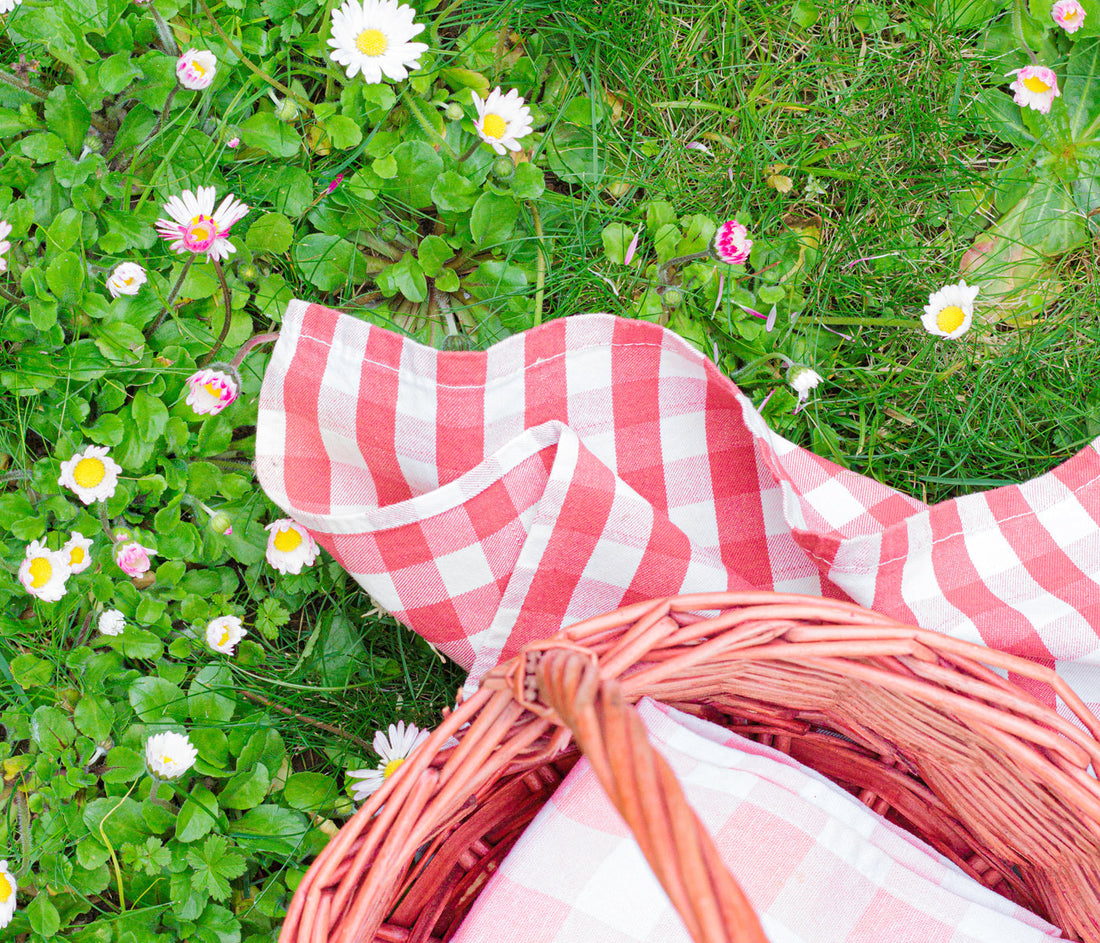 Picnic senza glutine e senza lattosio: guida al trasporto delle preparazioni