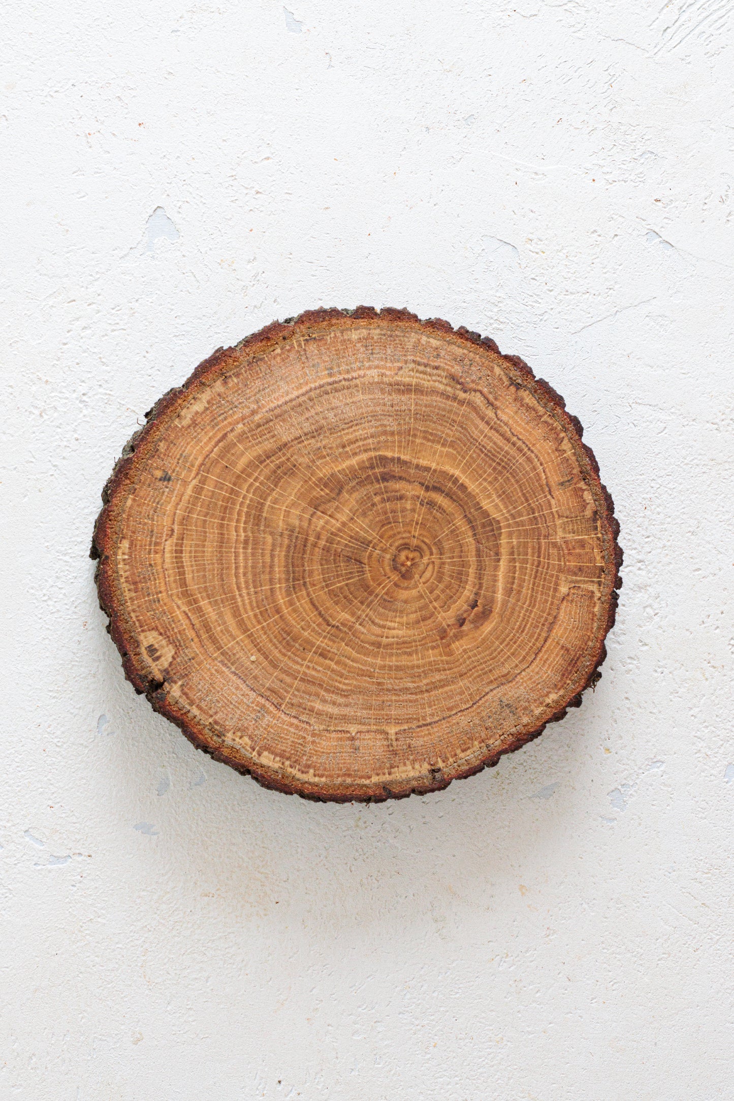 Sottopentola Luna - in legno di quercia