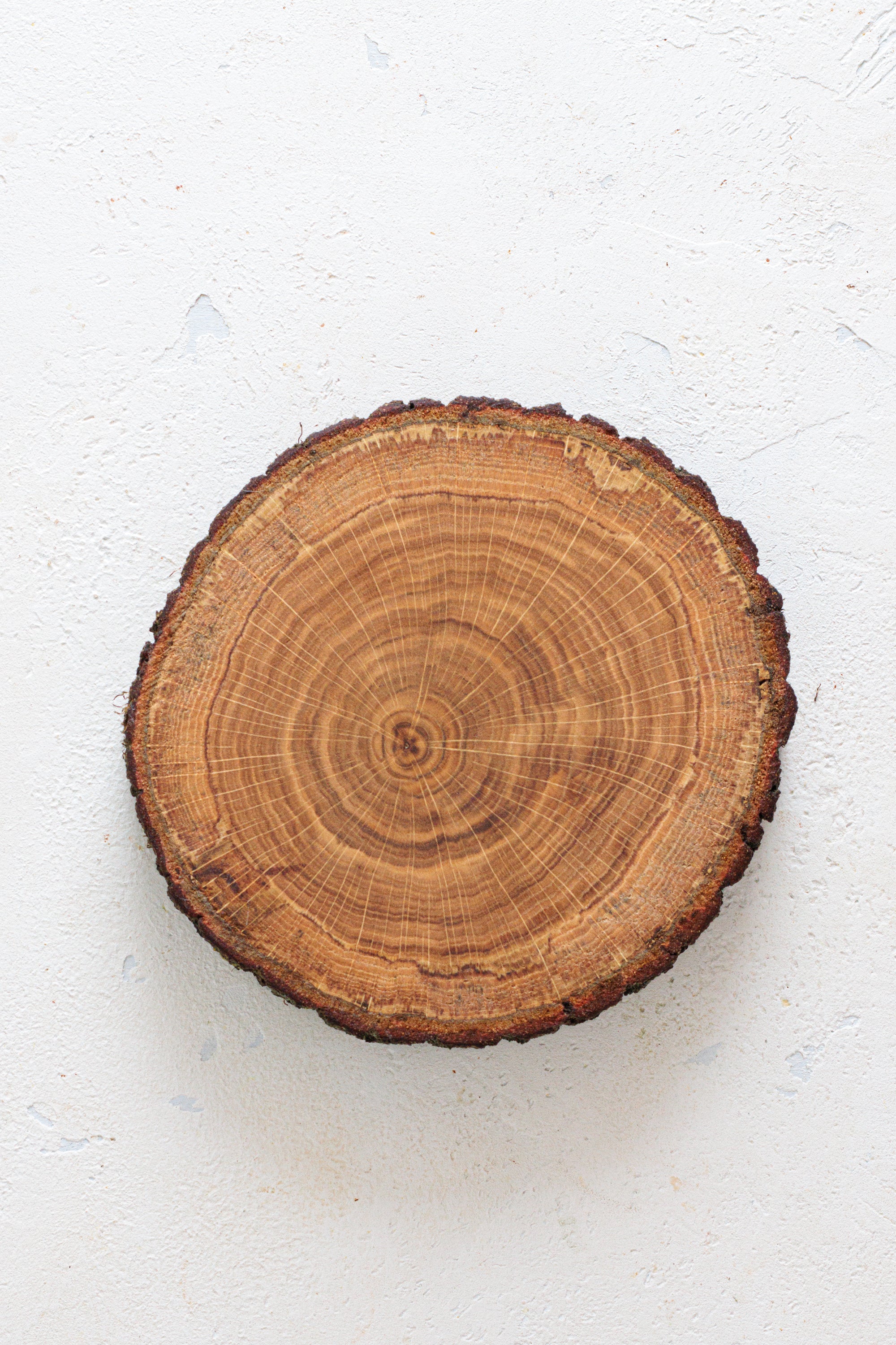 Sottopentola In Legno Per Piatti Caldi, Set Di Sottopentola A Forma Di Albero 876829 Sottopentola In Legno Per Piatti Caldi, Set Di Sottopentola A Forma Di Albero 876829
